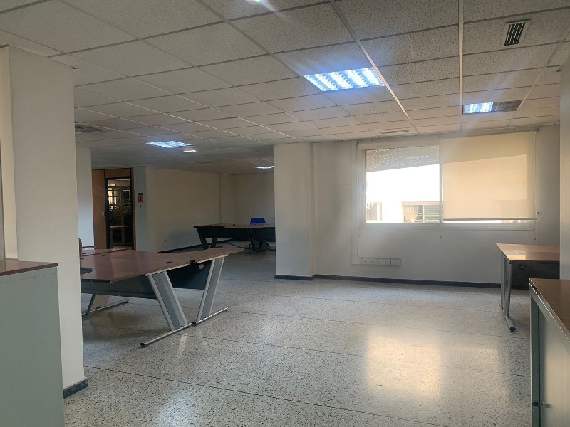 Plateau de bureau 490 m² — Palmier