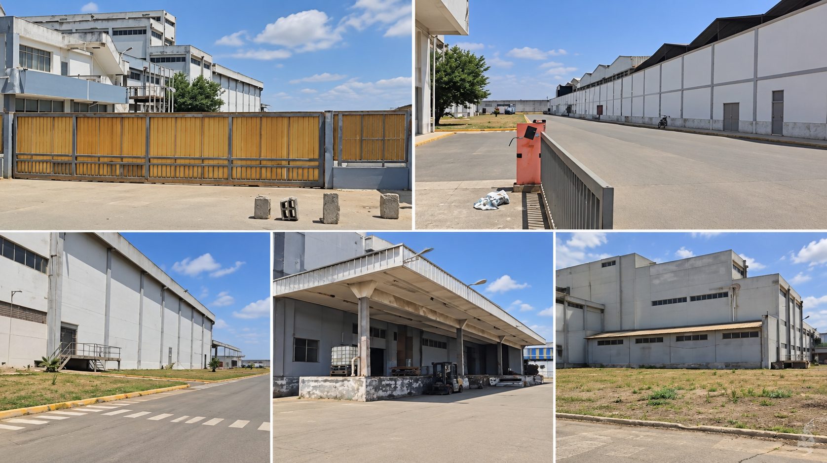 Dépôt / usine 18 535 m² — ZI Had Soualem